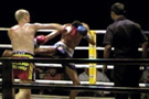 Fight or Flight