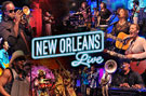New Orleans Live